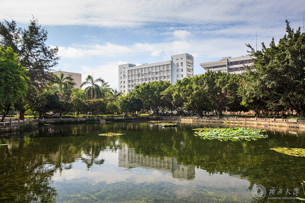 广西大学干部培训