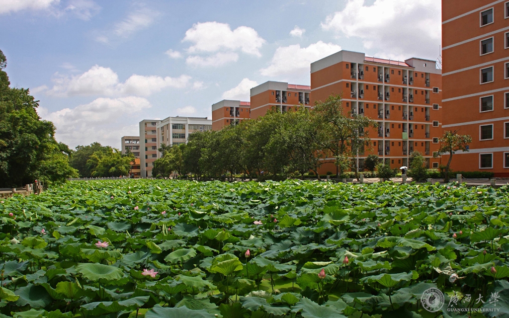 广西大学培训基地